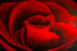 Red roses - Rode rozen van Christoph Van Daele