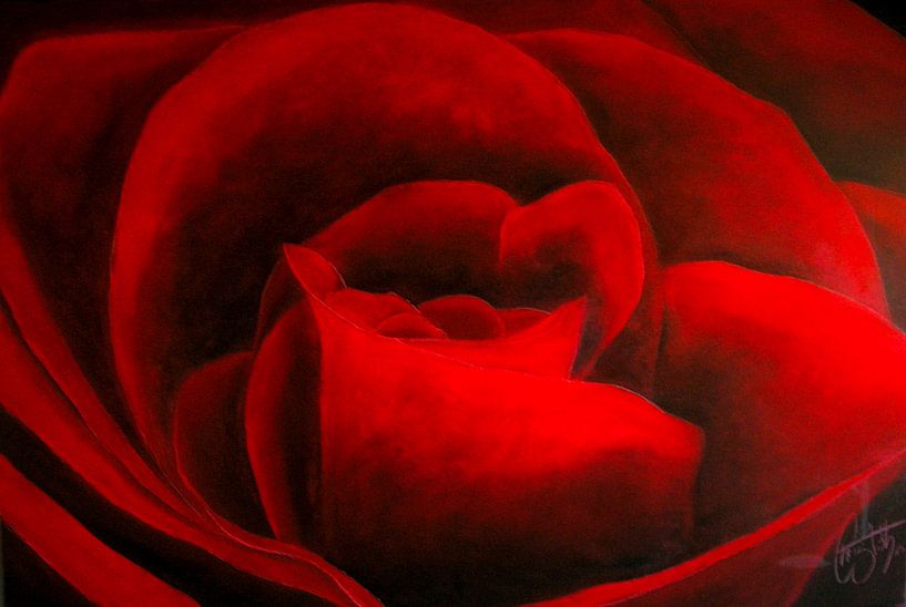Rote Rosen von Christoph Van Daele