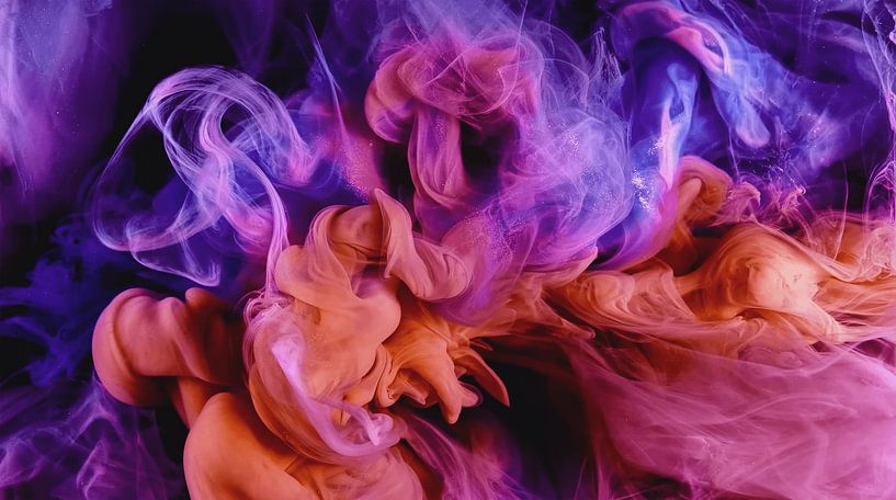 Colourful splendour by Jac Nooijens