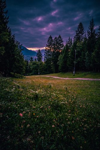 Lever de soleil à Bled, Slovénie