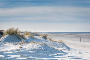 Paysage de dunes