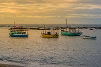 Flotte von Fischern in Salvador Bahia Brasilien verankert