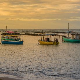 Flotte von Fischern in Salvador Bahia Brasilien verankert von Castro Sanderson