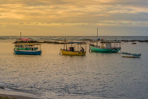 Vloot van vissers verankerd in Salvador Bahia Brazilië van Castro Sanderson