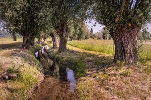 Alt Kanjelbeek Itteren