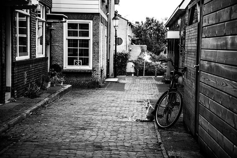 Strangely familiar 13 van Eva Overbeeke