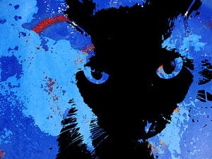 Kattenkunst - Storm 5