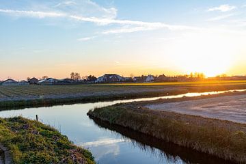 Evening View by Joren Vos