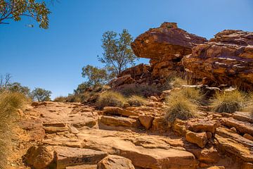 Kings Canyon - Australia by Troy Wegman