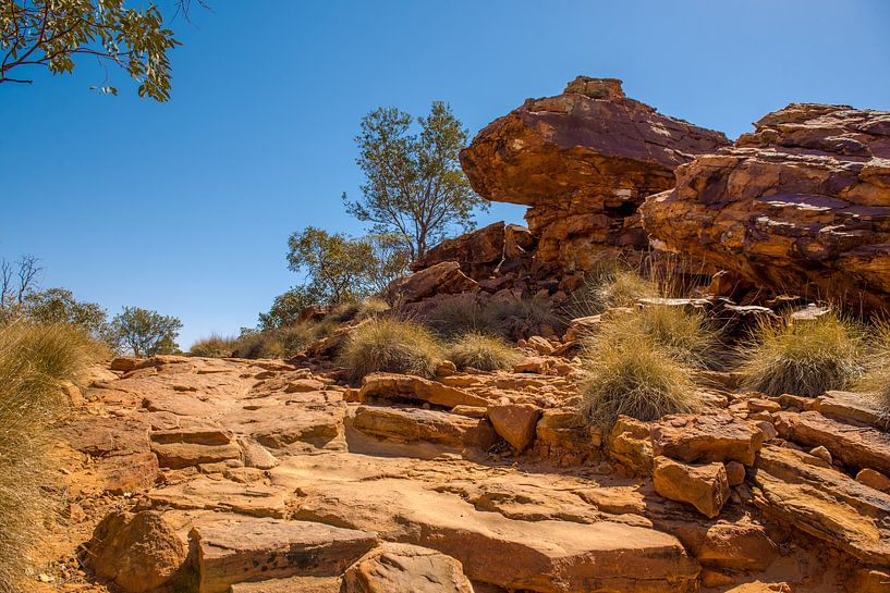Kings Canyon - Australië van Troy Wegman