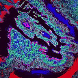 Art réalisé dans Photoshop ( carré 30x30 cm ) sur Henk Egbertzen