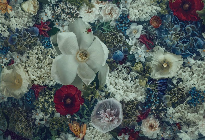 Magnolie Grandiflora von Marina de Wit