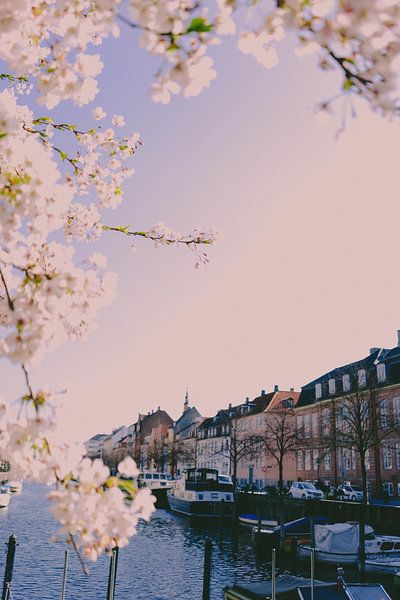 Copenhagen by Hello Pompoyo