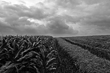 Corn, straw and clouds van Armand L'Ortije