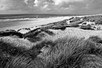 Paysage de dunes danoises sur la côte dans le Jutland sur Silva Wischeropp