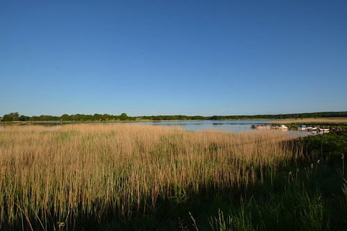 Wreecher See - Rügischer Bodden, confluent Wreecher See - Putbus sur l'île de Rügen