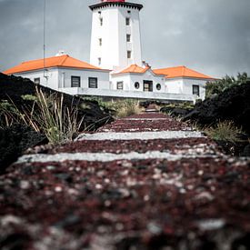 Vuurtoren van Alexander Dorn