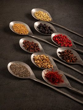Still life, herbs and spices in metal spoons, culinary fine art photography by Oda Slofstra
