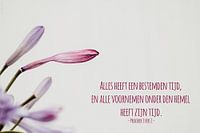 Bible text Ecclesiastes 3 verse 1 state translation
