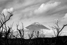 Mount Fuji above Owakudani by Maarten Steunenberg
