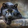 Zwarte Panter - Moderne Dieren Schilderij Kunst van Joriali Fine Art