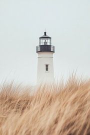 Phare dans l'herbe sur Poster Art Shop
