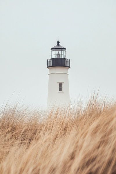 Lighthouse in the grass by Poster Art Shop