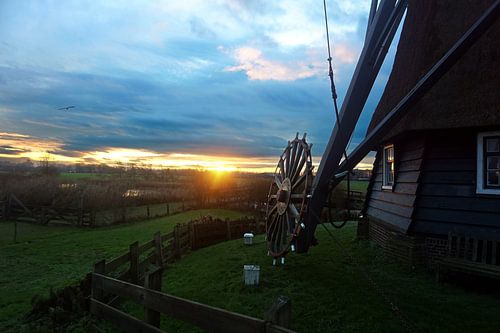 Moulin de Dorregeester dans la lumière du soir