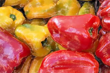 Paprika Rot - Gelb ART 1.0