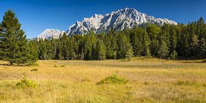 Moorlandschaft beim Lautersee, dahinter das Karwendelgebirge, Werdenfelser Land, Oberbayern, Bayern,