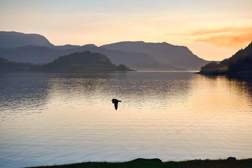 Fjord in Norway at sunset by Martin Köbsch
