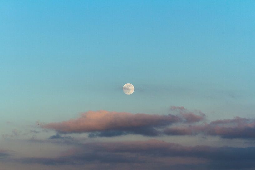 De maan by Dany Tiels