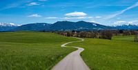 Der Weg ist das Ziel von Einhorn Fotografie Miniaturansicht