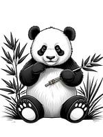 Panda bear