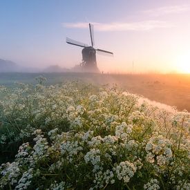 Lever de soleil coloré avec un moulin hollandais sur Ramon Oost