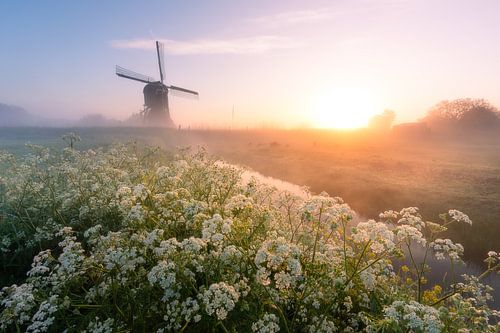 Lever de soleil coloré avec un moulin hollandais