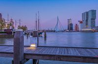 Skyline Rotterdam in de avond