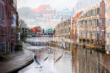 Schiedam / Short harbour by Ellen Driesse