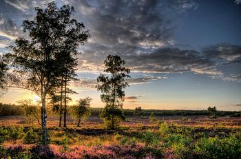 Sunset Den Treek Estate IV Amersfoort