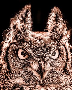 Duotone portret van een uil