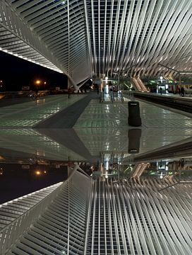 Abstract of Liege train station