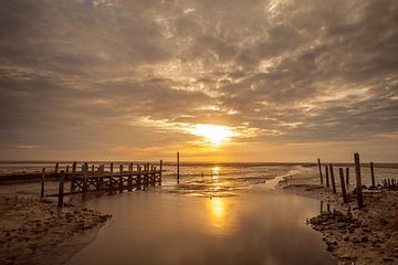 Petit port De Cocksdorp - Échafaudage de Sil