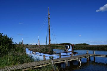 V6 sur René Ter Wiel
