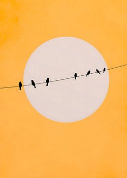 Vogelsilhouetten auf Draht vor dem Sonnenlicht – minimalistische Grafik