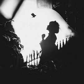 Schatten an der Wand von Terry F