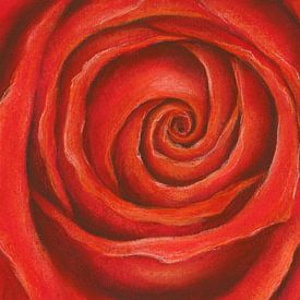 Pastel schilderij rode roos van Karen Kaspar