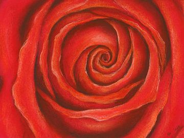 Rote Rose Pastellgemälde