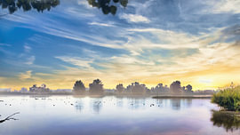 Biesbosch – wo die Stille das Wasser berührt.