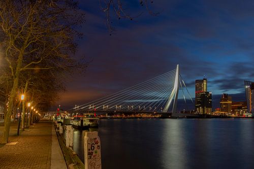 Erasmusbrug