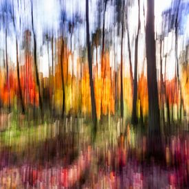 De herfst in vuur en vlam van Patty Elferink